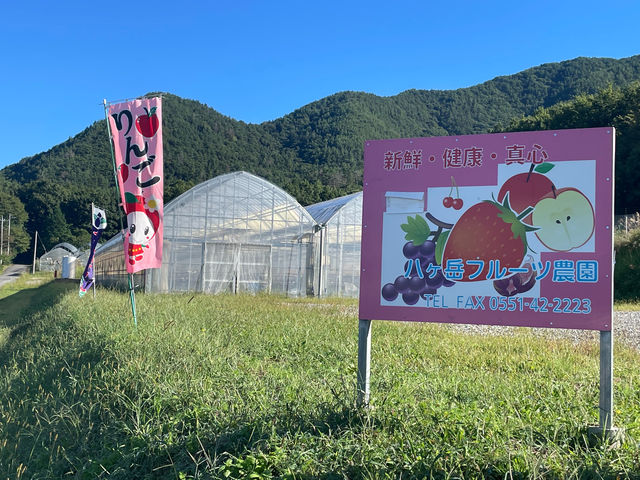 八ヶ岳フルーツ農園は年中無休です、何時でも旬の美味しい果実が食べれます_八ヶ岳フルーツ農園