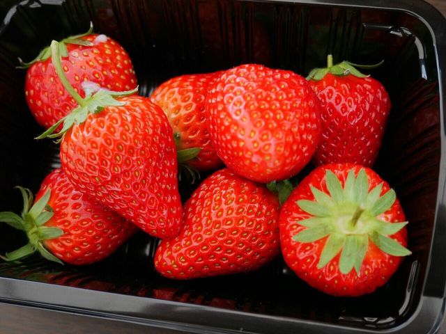 Strawberry Paradise