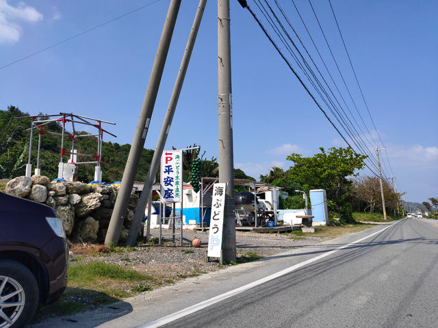 海ぶどうの看板が目印_海ぶどう平安座養殖場