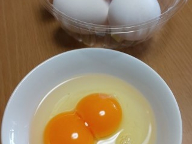 こだわりの双子たまごちゃん_金沢 食・金箔寿司・民家・キッチン!犀川