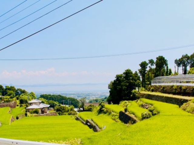 なばやま茶屋ひかり