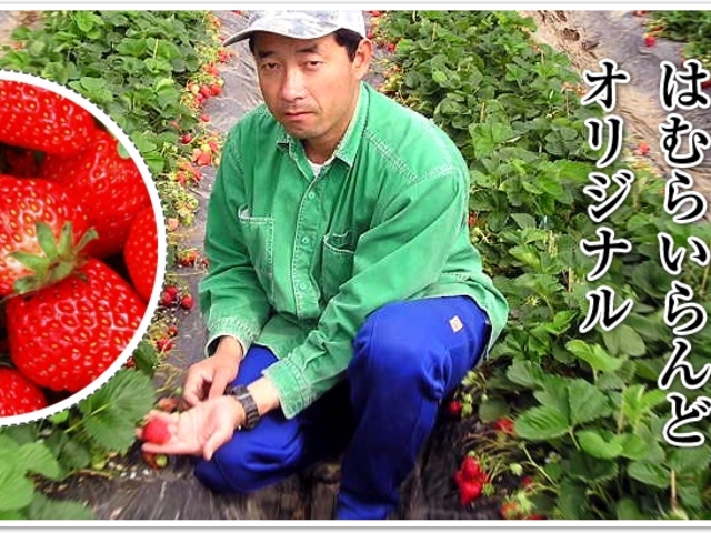 むらいらんど