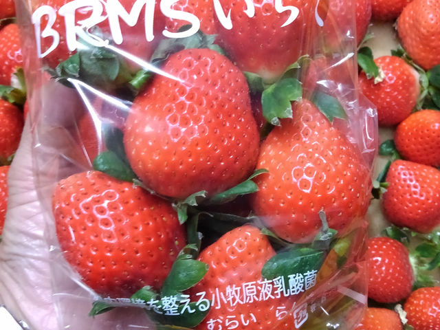 むらいらんど