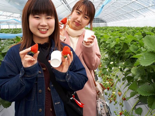 いるべのいちご園