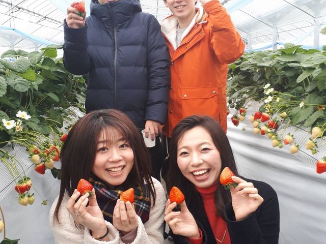 いるべのいちご園