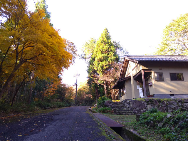 秋の紅葉_てびねりの陶芸教室