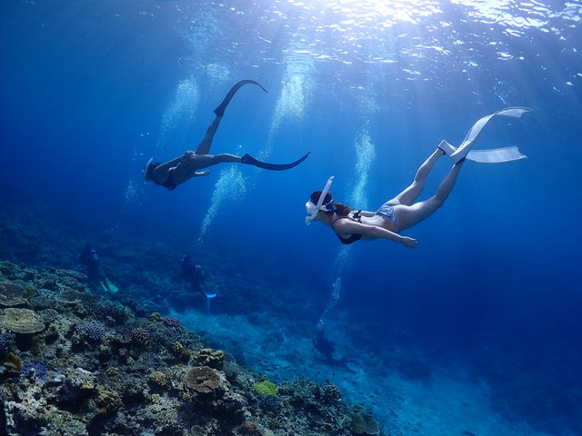 Johnny's diving