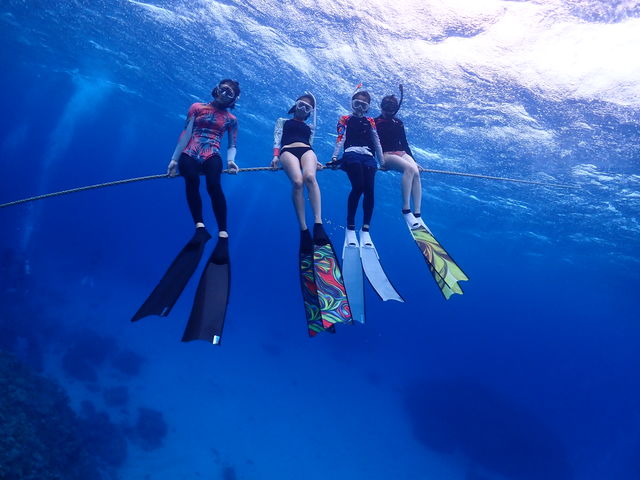 Johnny's diving