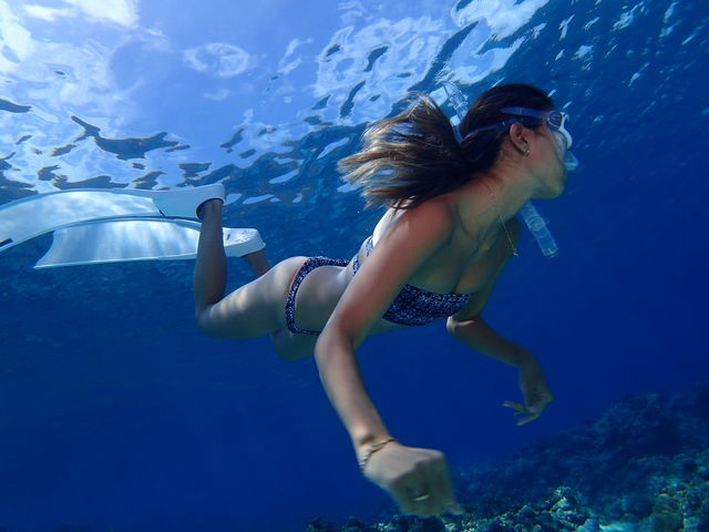 Johnny's diving