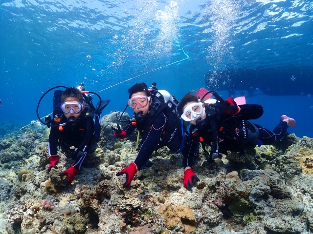 Johnny's diving