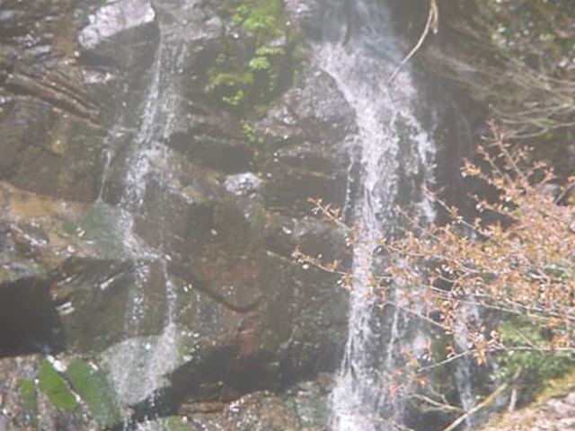 三段峡 川本旅館