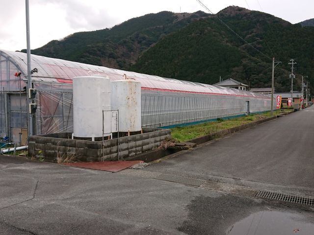松田農園