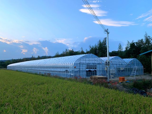 高橋ファーム