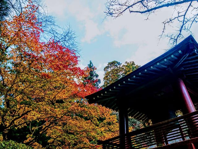 お寺Cafe 夢想庵