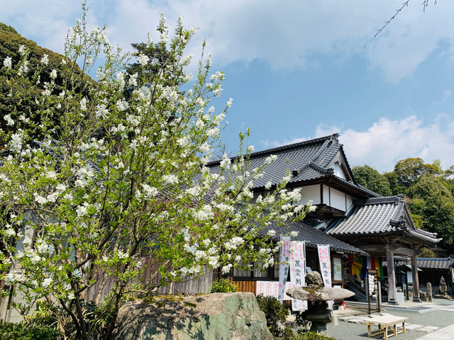 修学院