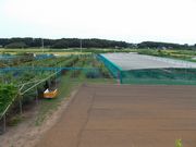 安原ブルーベリー園の写真2