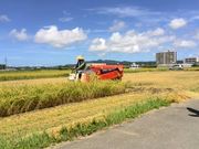 農業生産法人株式会社又吉農園の写真3