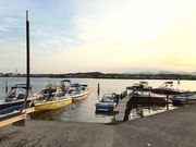 バリスティックの写真3