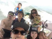 バリスティックの写真4