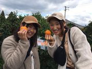 戸田果樹園の写真3