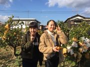 戸田果樹園の写真4