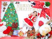 おひるねアート TORIbabyの写真2