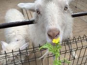 森ファームサービスの写真2