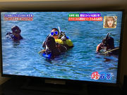 スキューバ&フィットネス VeryVeryの写真2