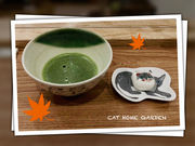 譲渡型保護猫カフェ CAT HOME GARDENの写真3