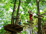 フォレストアドベンチャー・よこはまの写真2