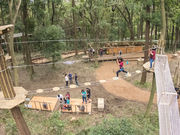 フォレストアドベンチャー・よこはまの写真3