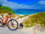 スマイリングスペース奄美の写真2