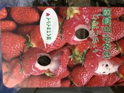 ゆめが丘農園の写真3