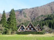 岐阜県飲食組合の写真3