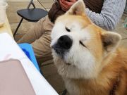 ストロベリーランド筑西の写真3