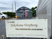 Yokohama Very Berryの写真2