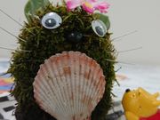 ラディアンスの写真4