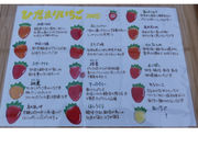 ひだまり農園の写真4