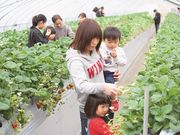 にいぼりのうえんの写真4