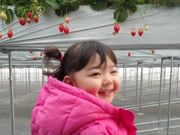 苺屋たくみ(ICHIGOYA TAKUMI)の写真3