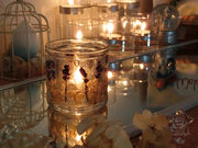 nocturne candleの写真2