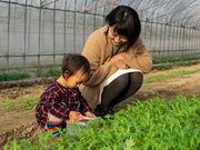 Vegefulportの写真2