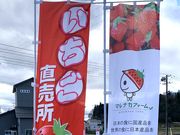 まるなかファームの写真4