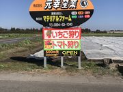 カゴンマルシェいちご狩り農園の写真2