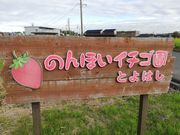 のんほいイチゴ園とよはしの写真2
