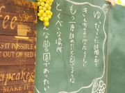 ゆきもと農園 いちご・ぶどうの観光農園の写真4