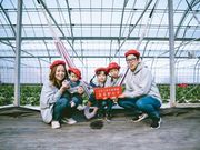 天空のいちごがり写真館 まるかじりの写真3