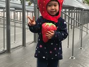 苺ファームあおきの写真2