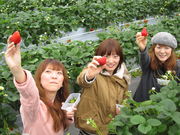 苺畑農場の写真2