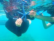 Okinawan supの写真4